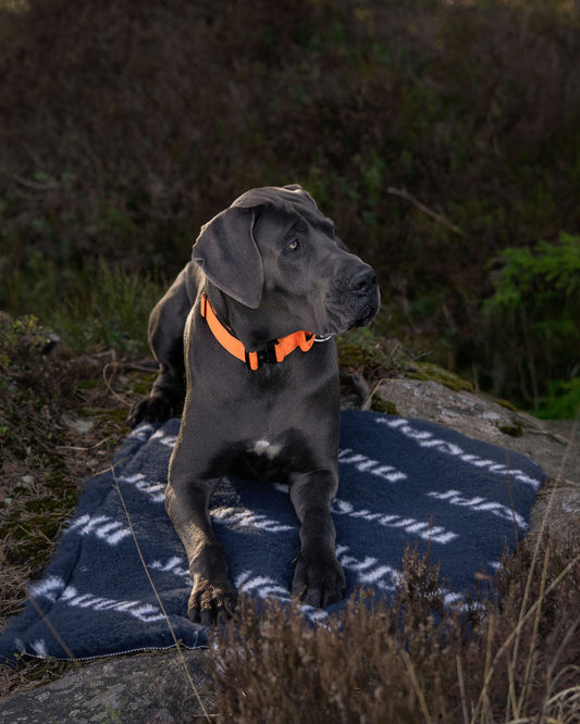 Monsterfäll Mörkblå