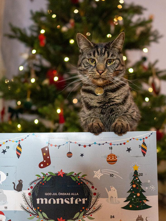Monster Katt Julkalender 2025